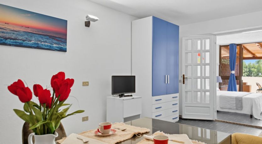 Photo of Bouganville