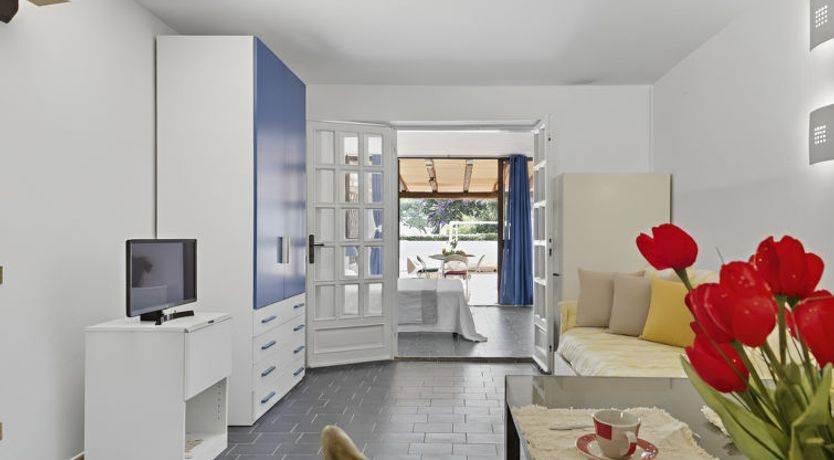 Photo of Bouganville