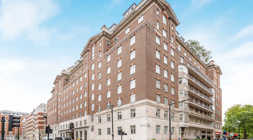 Photo of Elegant Blossom