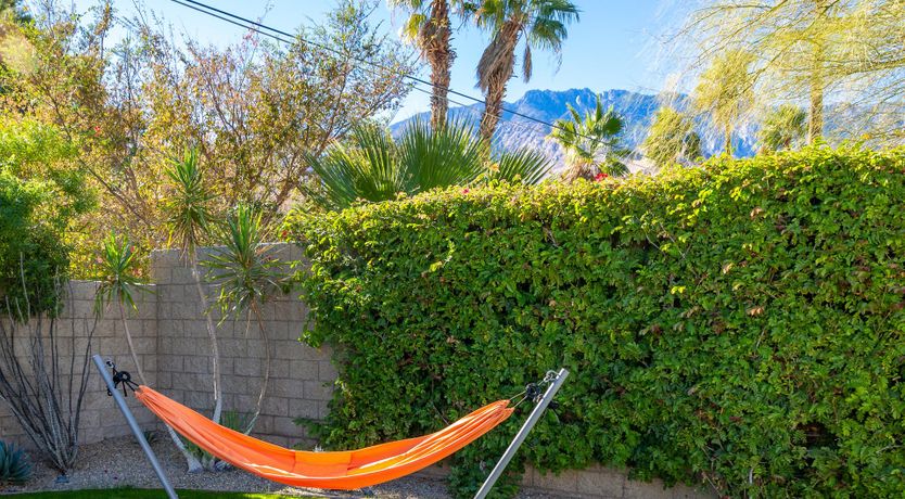 Photo of Butterfly Chic