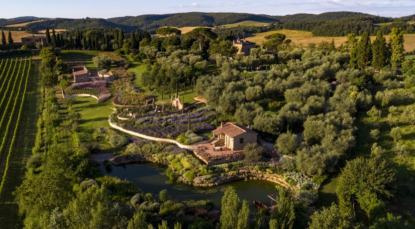 Photo of Vine & Earth