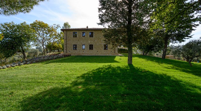 Photo of Vine & Earth