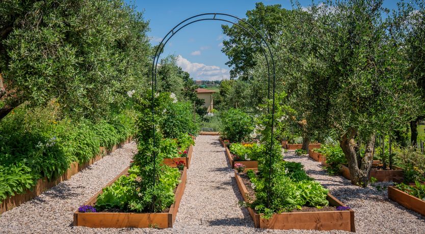 Photo of Vine & Earth