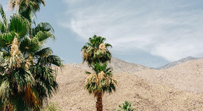 Photo of Orange Lemonade