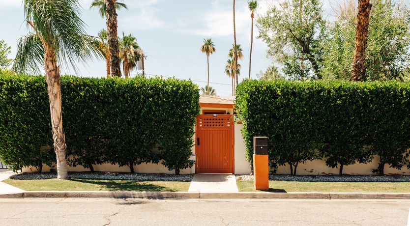 Photo of Orange Lemonade