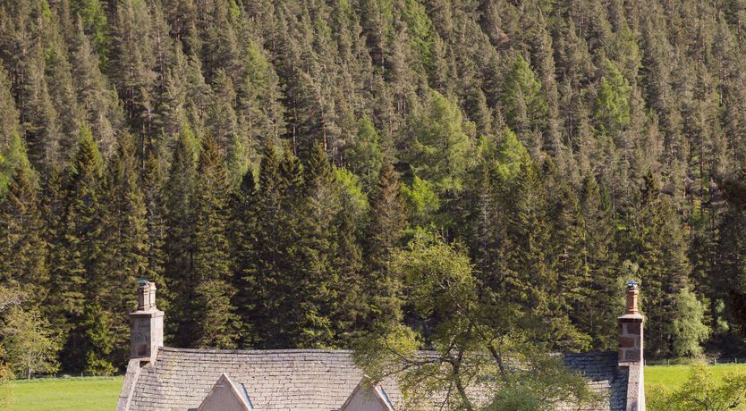 Photo of Hearthside Heather