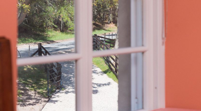 Photo of Hearthside Heather