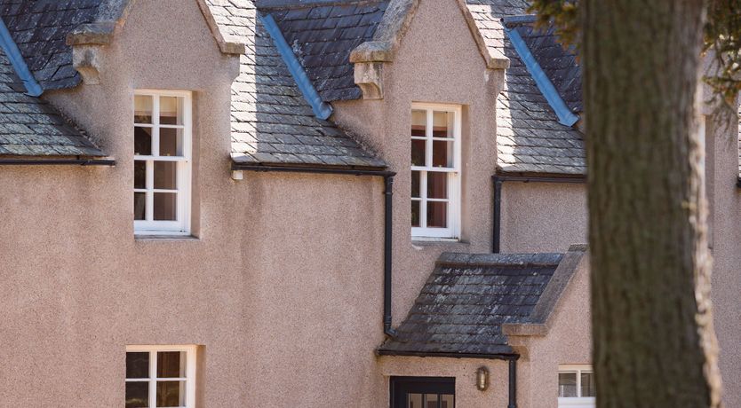 Photo of Hearthside Heather