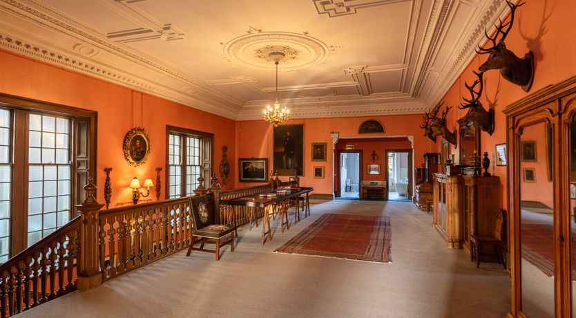 Photo of Renaissance Grandeur