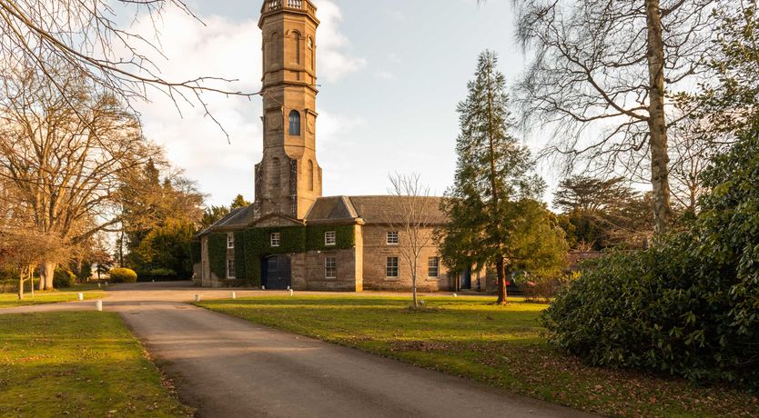 Photo of Renaissance Grandeur