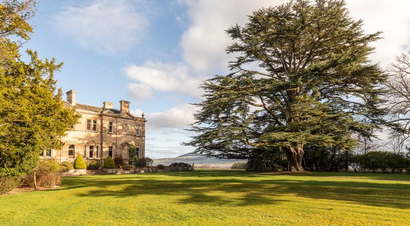 Photo of Renaissance Grandeur