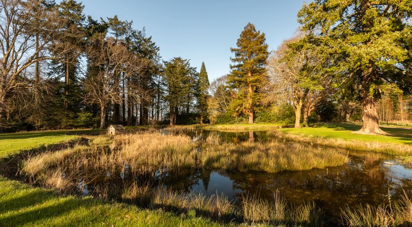 Photo of Renaissance Grandeur