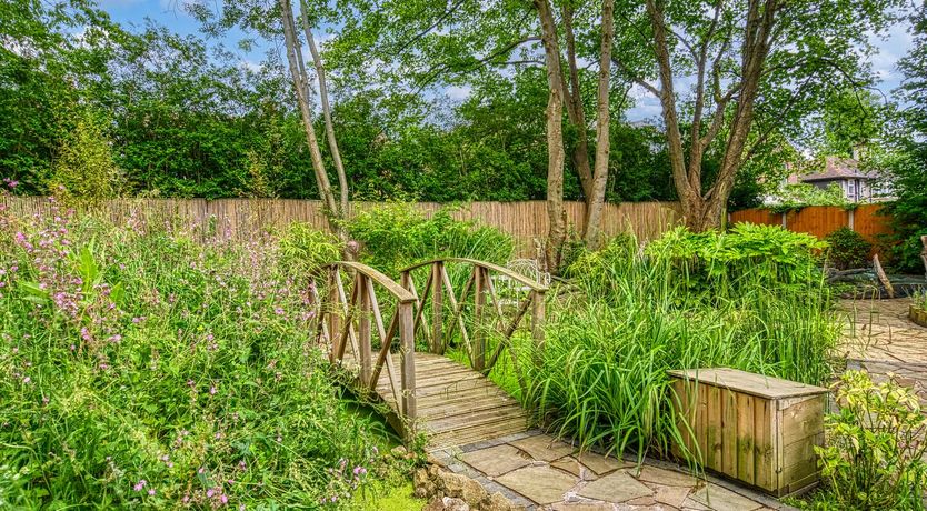 Photo of A Manchester Garden