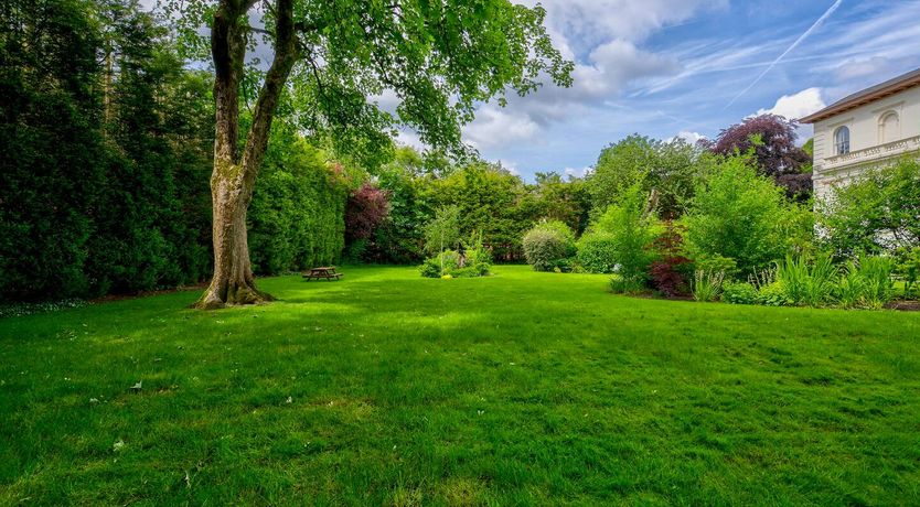 Photo of A Manchester Garden