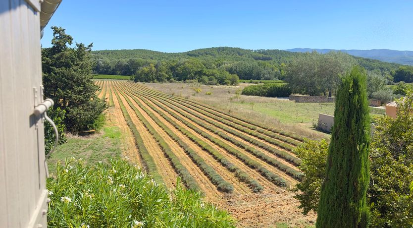 Photo of Provence Bliss