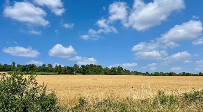 Photo of The Charming Barn