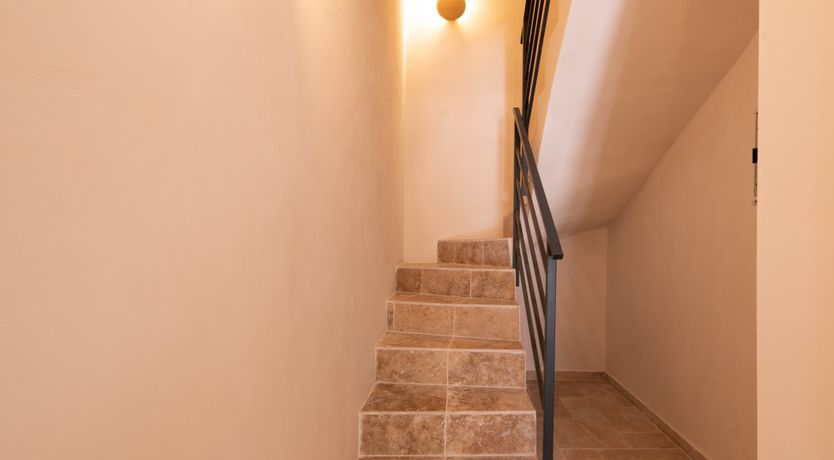 Photo of Graceful Jewel