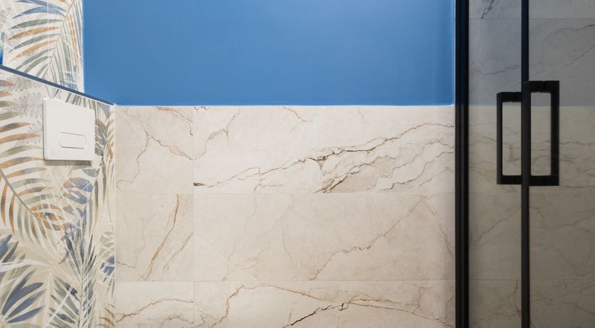 Photo of Vivid Shadows