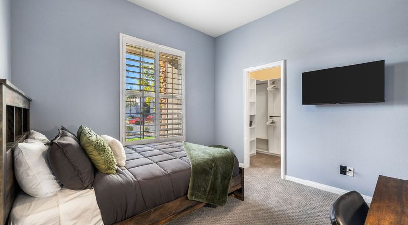 Photo of Desert Shadows