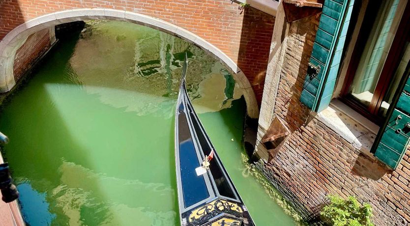 Photo of A Venetian View