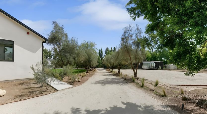 Photo of Golden Glimmer