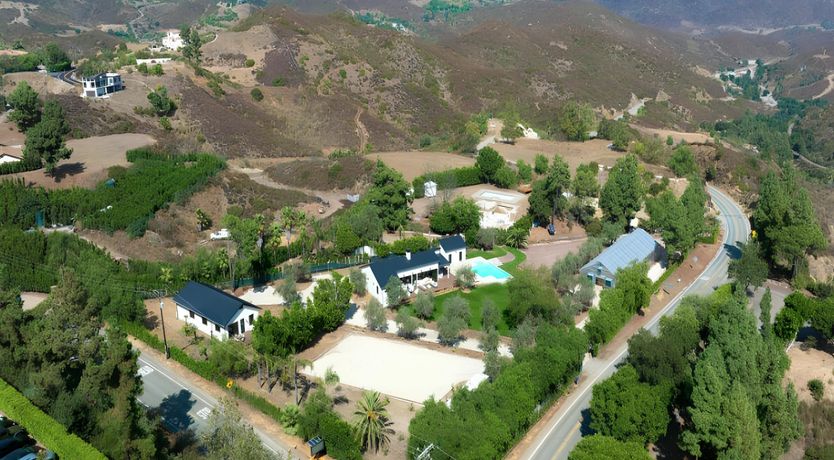 Photo of Golden Glimmer