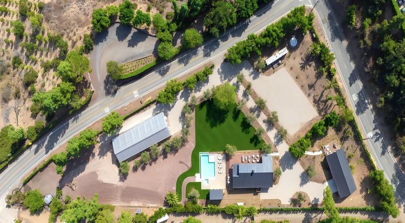 Photo of Golden Glimmer