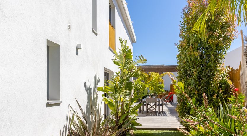 Photo of Summer Horizon