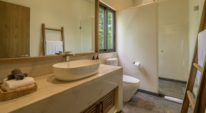 Photo of A Jungle Secret