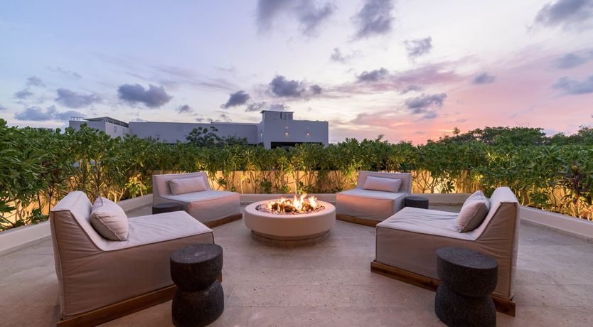 Photo of A Jungle Secret