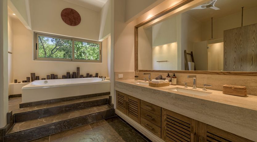 Photo of A Jungle Secret