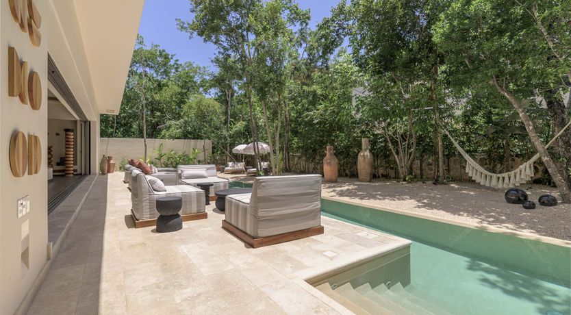 Photo of A Jungle Secret