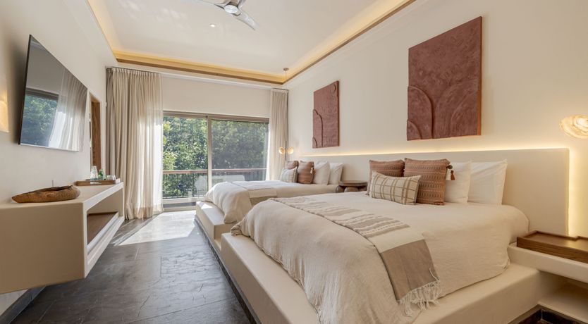 Photo of A Jungle Secret