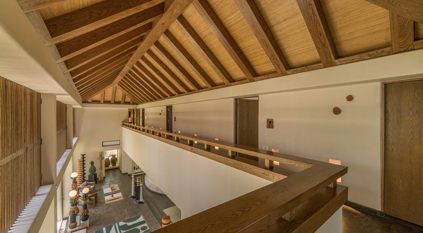 Photo of A Jungle Secret