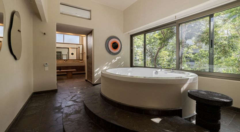 Photo of A Jungle Secret