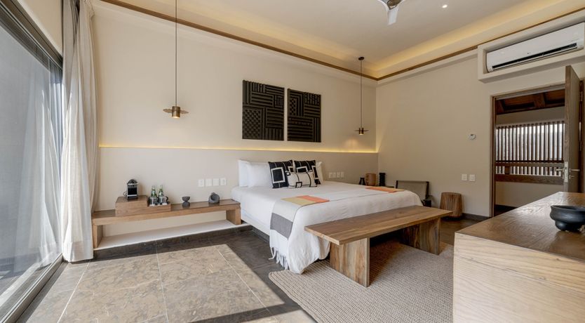 Photo of A Jungle Secret