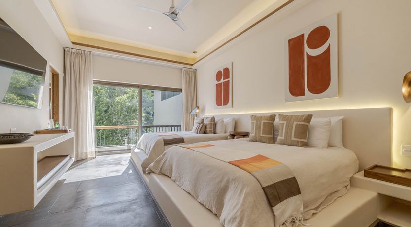 Photo of A Jungle Secret