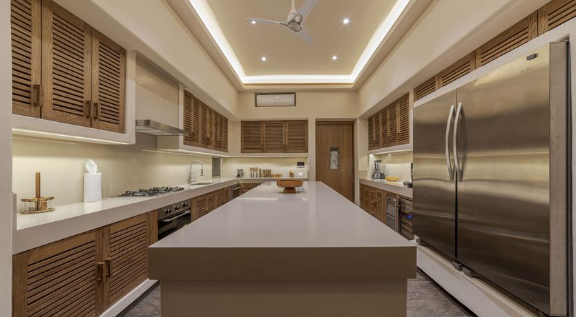 Photo of A Jungle Secret