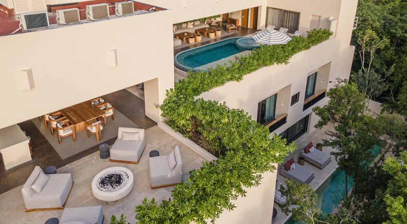 Photo of A Jungle Secret