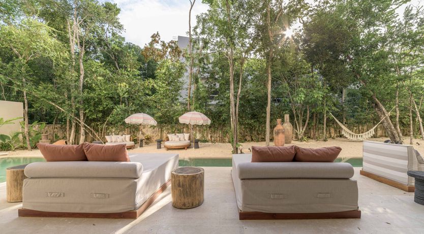 Photo of A Jungle Secret