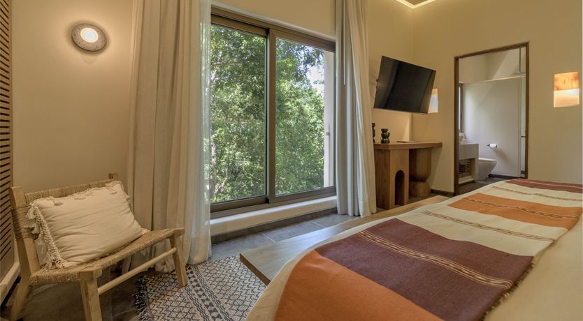 Photo of A Jungle Secret