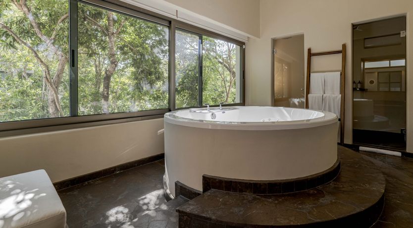 Photo of A Jungle Secret