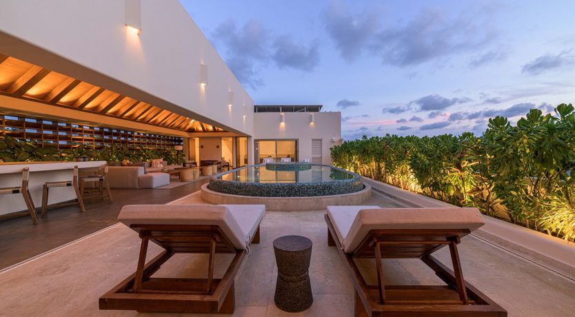 Photo of A Jungle Secret