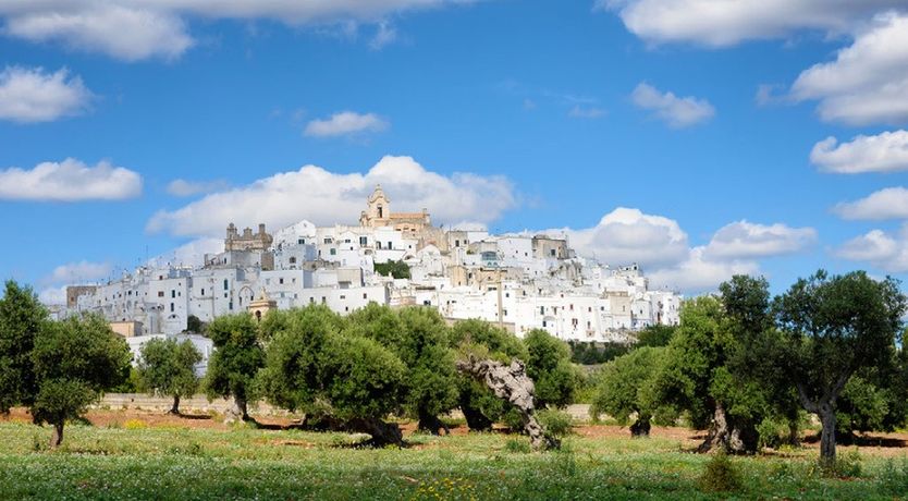 Photo of White Stone Oasis