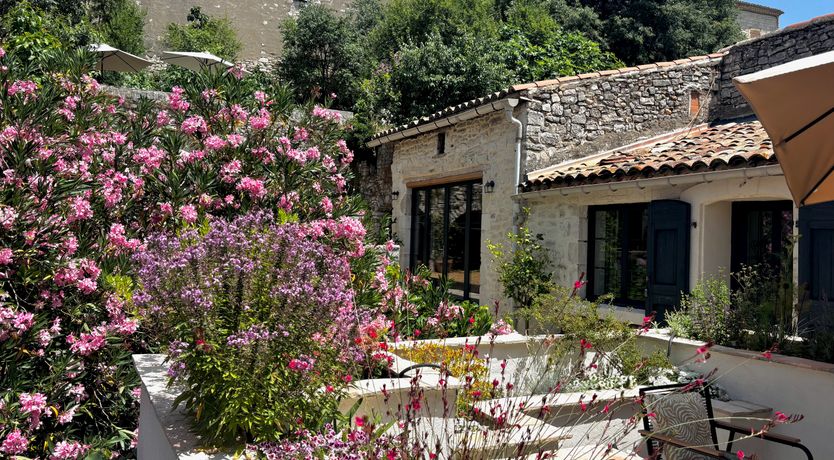 Photo of Martinet's Return