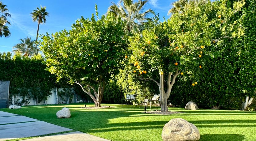 Photo of Mirador Magic