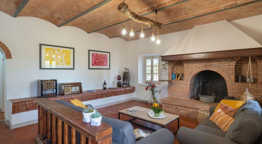 Photo of Ancient Grove