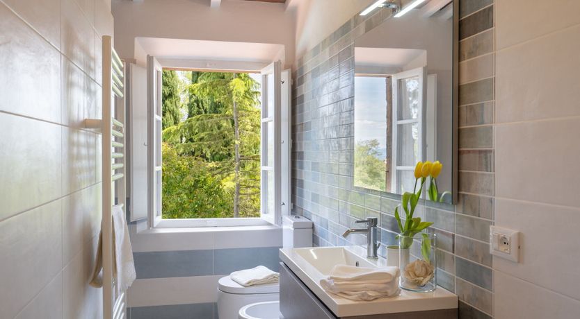 Photo of Ancient Grove