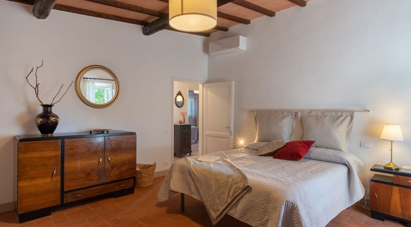 Photo of Ancient Grove