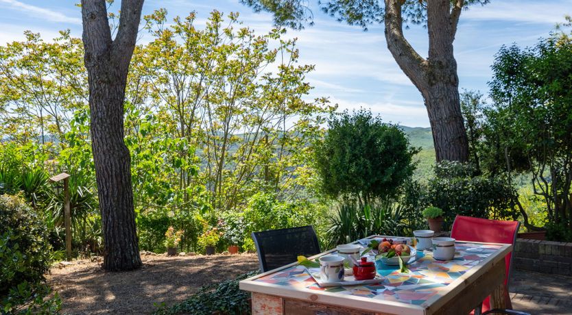 Photo of Ancient Grove